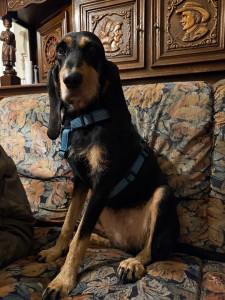 Photo de galerie - Visite à domicile 