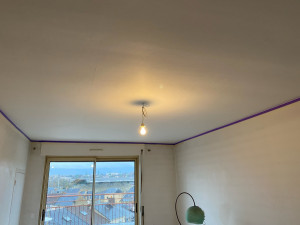 Photo de galerie - Pose de toile de rénovation avant peinture antireflet flutex 2s