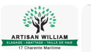 Photo de galerie - élagage 