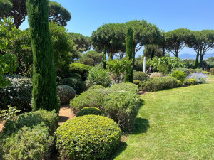 Photo de galerie - Jardin à la française 