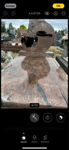 Photo de galerie - Nettoyage pierre tombale 