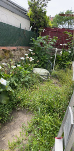 Photo de galerie - Paysagiste - Aménagement du jardin
