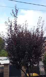 Photo de galerie - Avant
