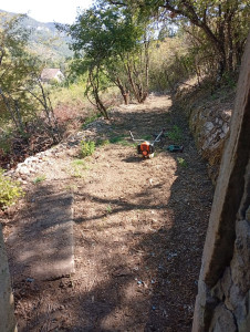 Photo de galerie - Tonte de pelouse - Débroussaillage