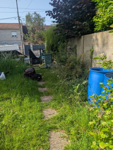 Photo de galerie - Tonte de pelouse - Débroussaillage
