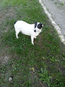 Photo de galerie - J'ai hébergé 