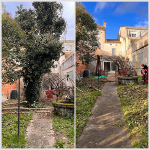 Photo de galerie - Elagage et coupe d'arbres