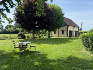 Photo de galerie - Tonte de pelouse 