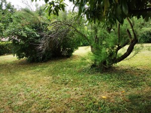 Photo réalisation - Tonte de pelouse - Débroussaillage - Aurélien B. - Sainte-Consorce : Travaux fini 