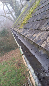 Photo de galerie - Nettoyage des gouttières