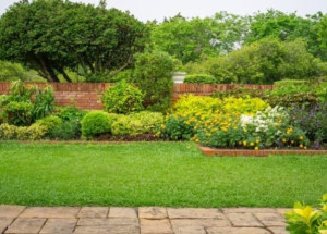 Photo de galerie - Tonte en espace vert