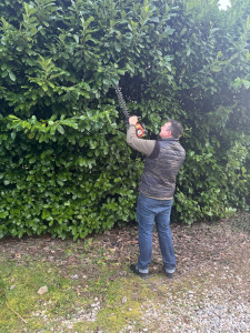 Photo de galerie - Elagage et coupe d'arbres