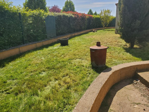 Photo de galerie - Tonte de pelouse - Débroussaillage