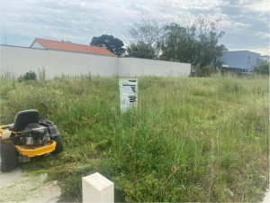 Photo de galerie - Tonte de pelouse - Débroussaillage