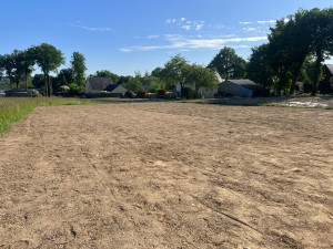 Photo de galerie - Création de pelouse 