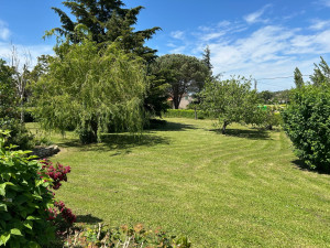 Photo de galerie - Entretien à l’année  d’un jardin 