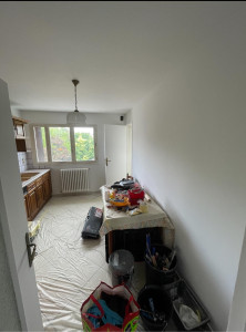 Photo de galerie - Ratissage des murs et plafonds 