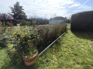 Photo de galerie - Tailles d'une bandes fleuries d'une dizaine de mètre 