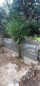 Photo de galerie - Maçonnerie