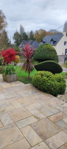 Photo de galerie - Topiaire, taille d'arbustes 