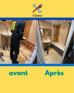 Photo de galerie - Changement d’une ancienne baignoire