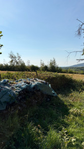 Photo de galerie - Débroussaillage complet d’une zone envahie par les ronces, avec dégagement intégral du tas de bois qui était devenu presque invisible. Travail de remise au propre réalisé avec soin.