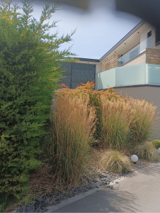 Photo de galerie - Paysagiste - Aménagement du jardin