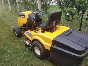 Photo de galerie - Tonte de pelouse - Débroussaillage