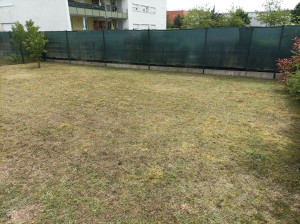 Photo de galerie - Tonte de pelouse - Débroussaillage