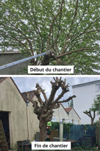 Photo de galerie - Chantier réalisé en 1 après midi sur la commune de pessac