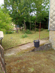 Photo de galerie - Tonte de pelouse - Débroussaillage