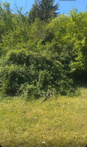 Photo de galerie - Aménagement 