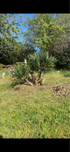 Photo de galerie - Jardinier