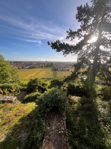 Photo de galerie - ☀️