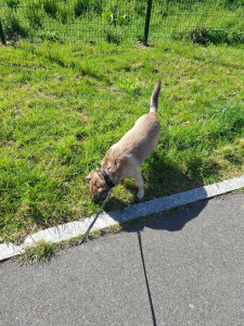 Photo de galerie - Desko