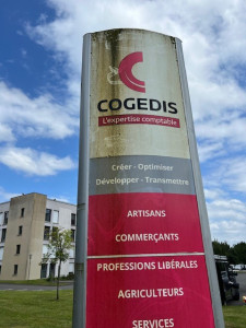 Photo de galerie - Nettoyage d'un todem