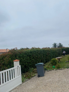 Photo de galerie - Un Clien où cliente satisfait(e) et là meilleur des publicités 