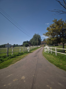 Photo de galerie - élagage 