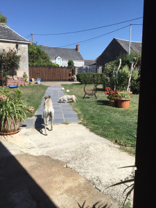 Photo de galerie - Ils sont tranquilles.