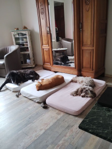 Photo de galerie - La sieste 