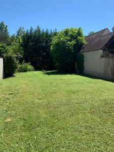 Photo de galerie - Tonte de pelouse - Débroussaillage