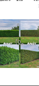 Photo de galerie - Taille de haie et bien d’autres