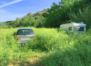 Photo de galerie - Tonte de pelouse - Débroussaillage