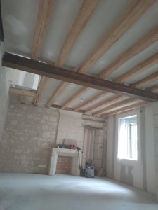 Photo de galerie - Plâtrerie - Murs - Plafonds