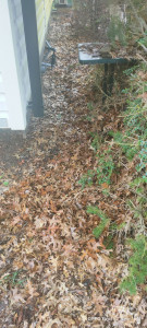 Photo de galerie - Nettoyage de vos campings, intérieur et extérieur, feuillages et mobil-home, ménage aux entreprises et particuliers 
 