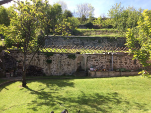 Photo de galerie - Débroussaillage