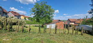 Photo de galerie - Elagage et coupe d'arbres