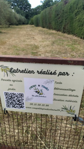 Photo de galerie - Tonte de pelouse - Débroussaillage