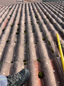 Photo de galerie - Entretien toiture