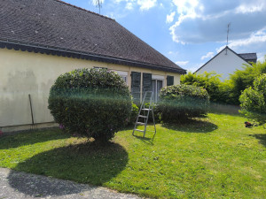 Photo de galerie - Petite taille forme arrondie arbustes 